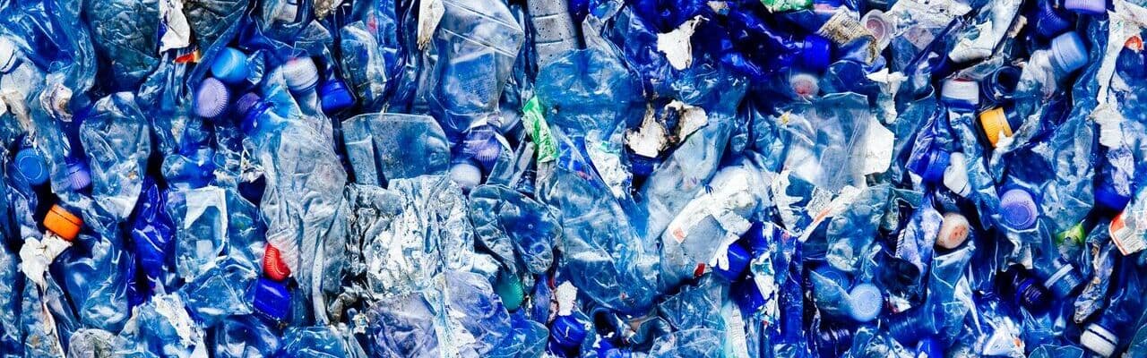 Green Group: Ceea ce a trăit odată poate reveni la viață