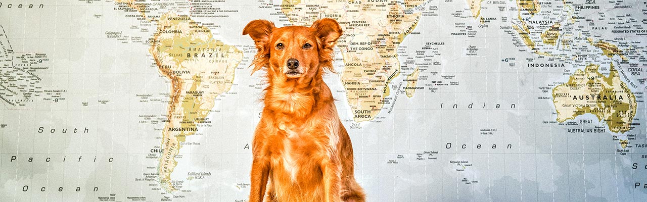 RISCUL GEOPOLITIC